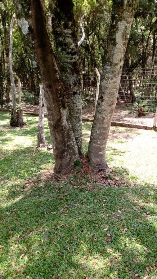 Residenciais Encantos Da Natureza Canela Exterior foto